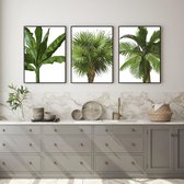 Set' affiches 3 - Arbres tropicaux Palmier Bananier Cocotier - Décoration Décoration murale - 40x30cm / A3 - Postercity