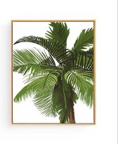 Poster Tropische Palmboom - Tropische Planten / Bomen - Muurdecoratie - 40x30cm / A3 - Postercity