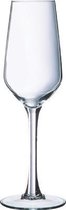 Lineal champagneglas - champagneglazen - 18cl - per stuk