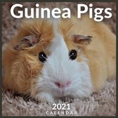 Guinea Pigs 2021 Calendar