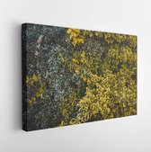 Onlinecanvas - Schilderij - Spindle Leafs. Leaf Ornament. Dark Green Leaf Texture. Art Horizontal Horizontal - Multicolor - 30 X 40 Cm