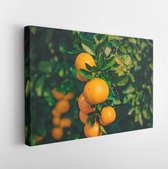 Mandarin - Modern Art Canvas  - Horizontal - 534917104 - 80*60 Horizontal