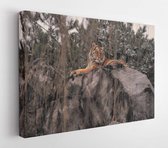 Onlinecanvas - Schilderij - Wild Animals In The Wild Art Horizontal Horizontal - Multicolor - 60 X 80 Cm