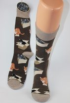 Heren sokken katten socksmith