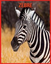 Zebre