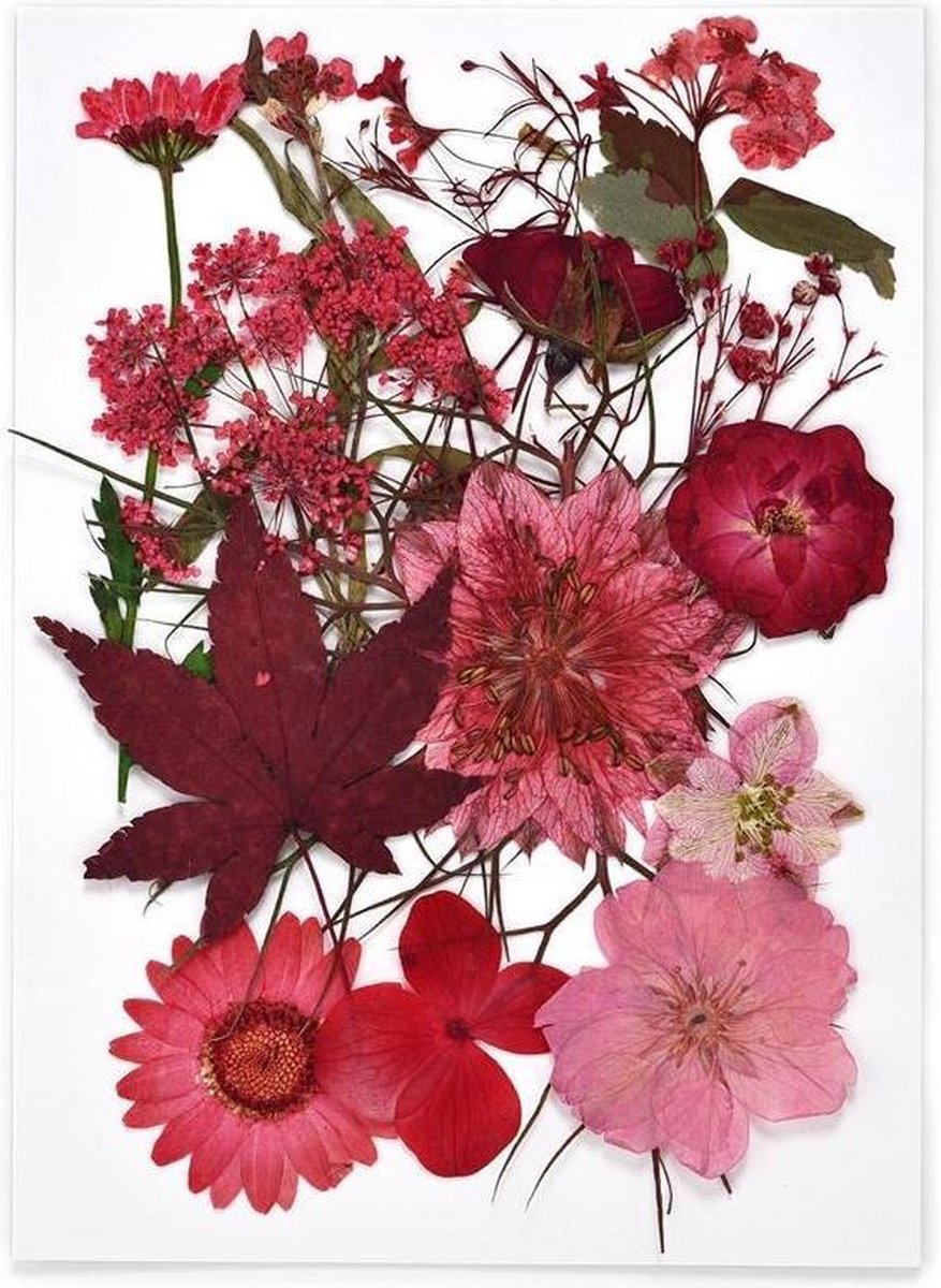 Echte droogbloemen - rood - epoxy hars - sieraden - decoratie