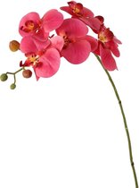 Viv! Home Luxuries Orchidee - zijden bloem - donker roze - 65cm - topkwaliteit