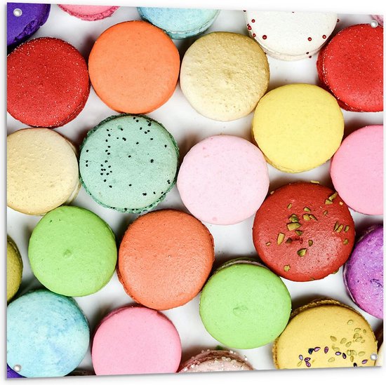 Tuinposter – Gekleurde Macarons - 100x100cm Foto op Tuinposter  (wanddecoratie voor buiten en binnen)