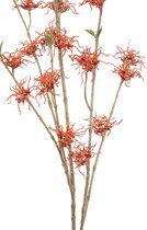PTMD Twig Plant orange rouge