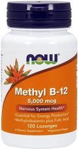 Methyl B-12 5000mcg 120lozenges