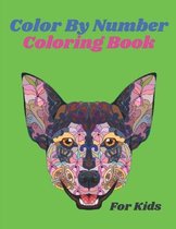 Color By Number Coloring Book For Kids
