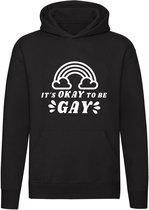It's okay to be gay Hoodie | sweater | homo | gaypride | anaal |kado | trui | unisex | capuchon