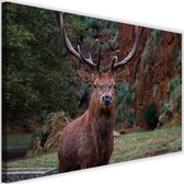 Schilderij Hert, Koning van het bos, 2 maten bruin/groen (wanddecoratie)