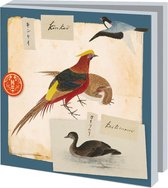 Kaartenmapje met 10 kaarten en enveloppen, vierkant: Naturalis