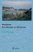 Ein Winter in Wicklow
