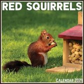 Red Squirrels Calendar 2021