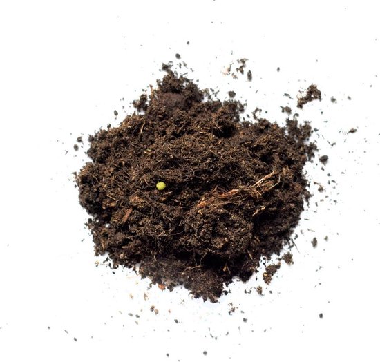 Een hoopje donkere potgrond met enkele wortels en een klein groen sprietje.