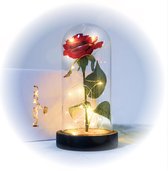 Nonchi Roos in Glazen Stolp - LED verlichting - Valentijn - Kerst - Cadeautje Vrouw - Decoratie - Gouden Roos in Glas - Liefde - Inclusief Giftbox