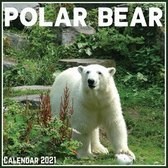 Polar Bear Calendar 2021