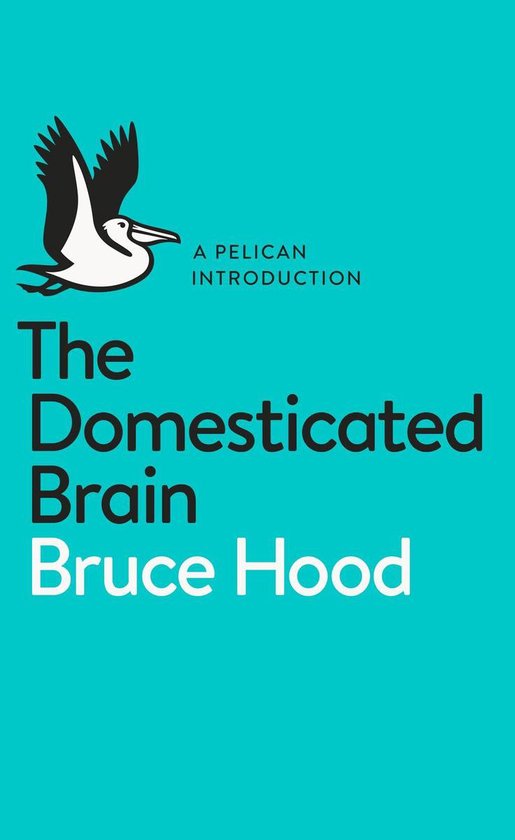 Foto: The domesticated brain
