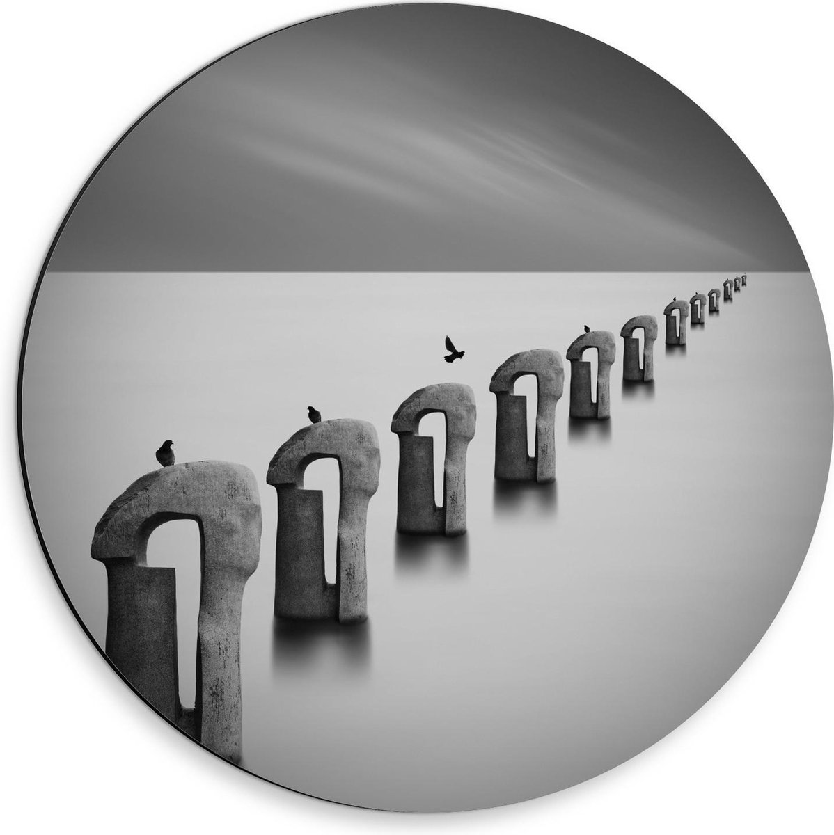 Dibond Wandcirkel - Vogels op Betonnen Palen ( Zwart Wit ) - 30x30cm Foto op Aluminium Wan