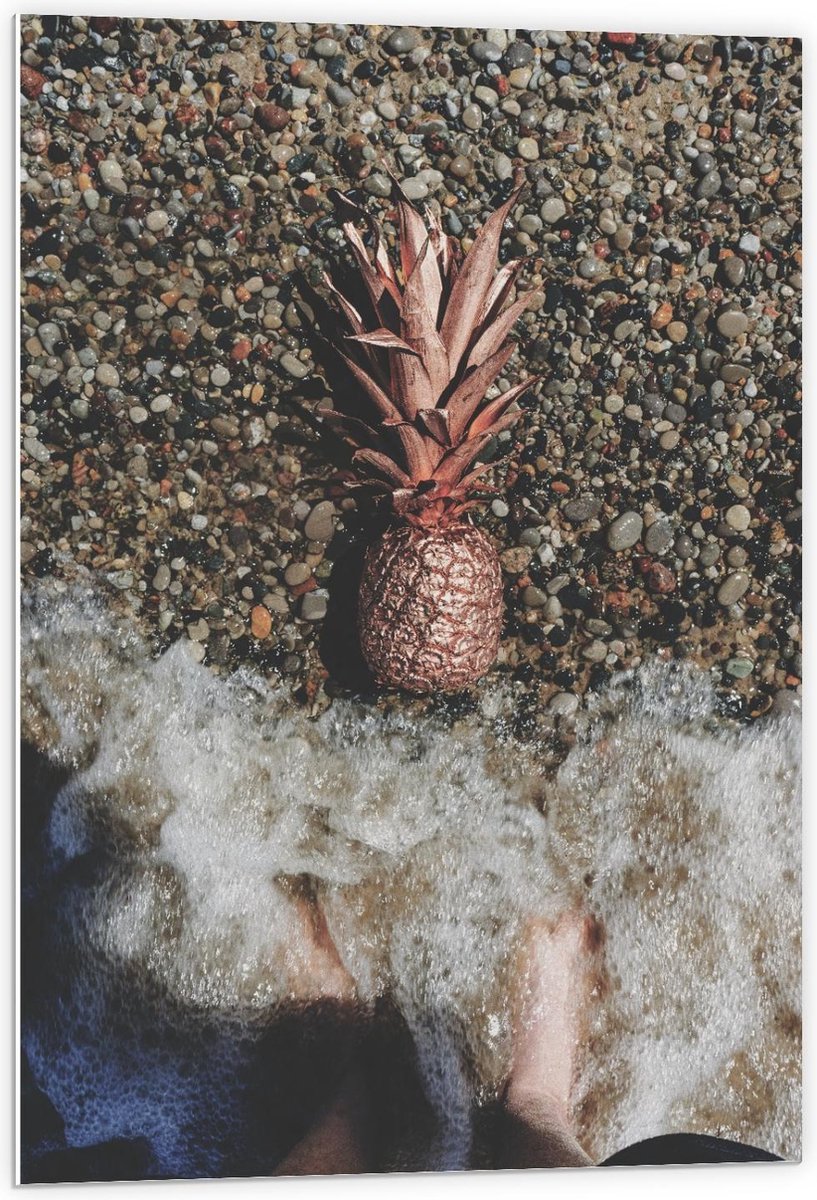 Forex - Gouden Ananas Spoelt aan - 60x90cm Foto op Forex