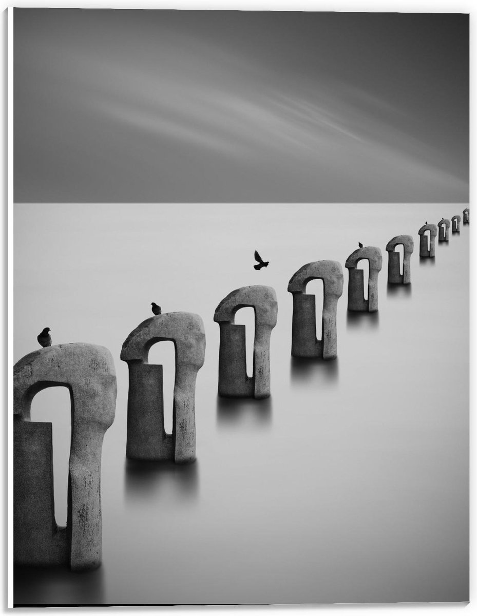 Forex - Vogels op Betonnen Palen ( Zwart Wit ) - 30x40cm Foto op Forex