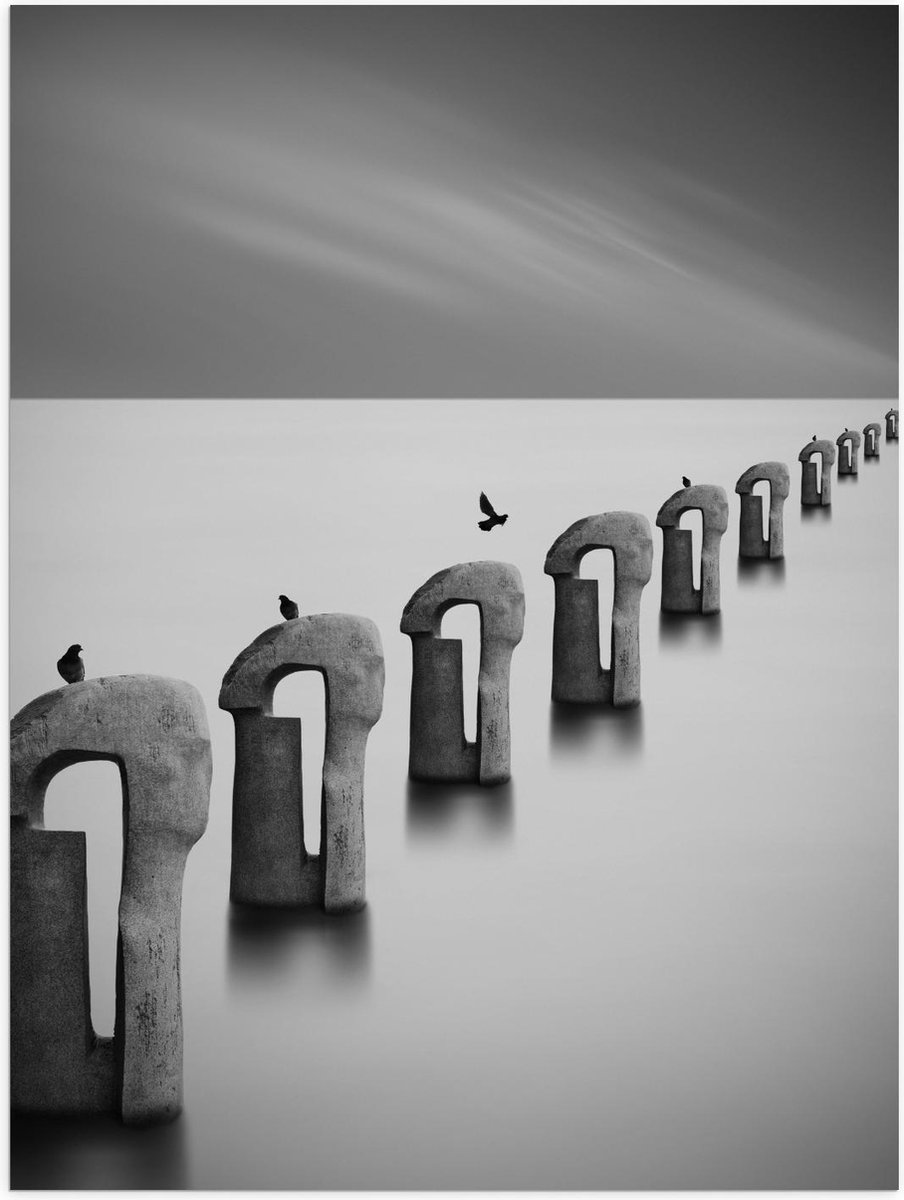 Poster – Vogels op Betonnen Palen ( Zwart Wit ) - 30x40cm Foto op Posterpapier