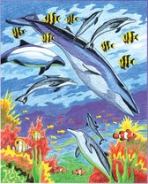 Kleuren op nummer  -Dolfijnen en tropische vissen 22.23x29.85cm