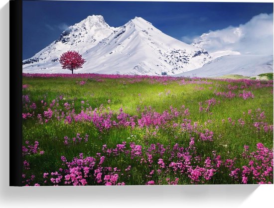 Canvas  - Sneeuw Bergen bij Groen Landschap - 40x30cm Foto op Canvas Schilderij (Wanddecoratie op Canvas)