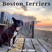 Boston Terriers 2021 Wall Calendar