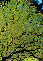 Earth Art - Satellietfoto Lena delta Rusland - Poster 50x70 cm (B2)