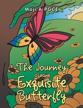 The Journey of an Exquisite Butterfly