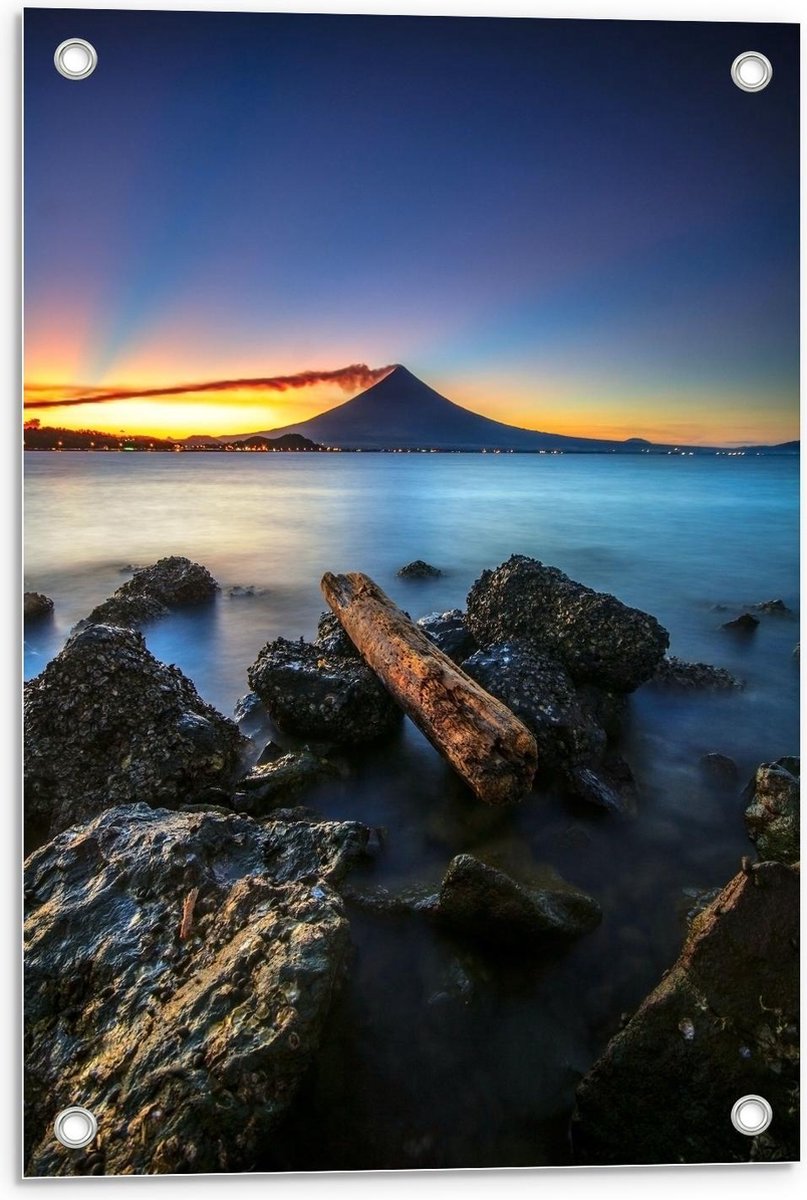 Tuinposter – Boomstam op Rotsen aan het Water - 40x60cm Foto op Tuinposter (wanddecoratie