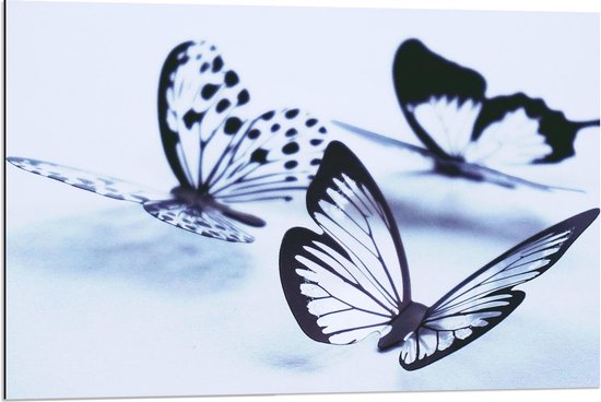 Dibond - Doorzichtige Vlinders - 90x60cm Foto op Aluminium (Wanddecoratie van metaal)