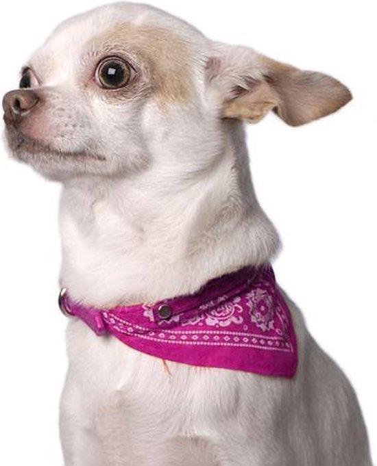 Collier rose avec bandana pour petit chien chihuahua ou chat | bol.com