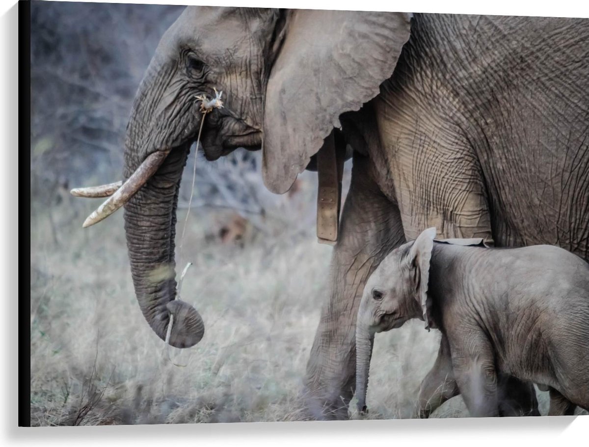 Canvas - Moeder met Baby Olifant - 100x75cm Foto op Canvas Schilderij (Wanddecoratie op Canvas)