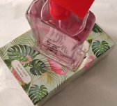 jardins de St HUbert eau de toilette/ natural spray/ 100ML/ 70% vol 3,3 Fl. oz