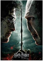 Harry Potter vs Voldemort Puzzel