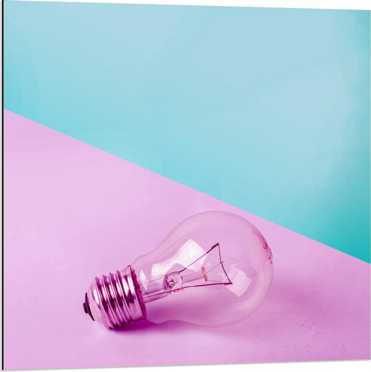 Dibond - Gloeilamp Roze/Blauwe Achtergrond - 80x80cm Foto op Aluminium (Wanddecoratie van