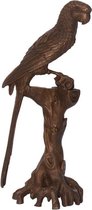 Macaw Papegaai - Bronzen beeld - Gedetailleerd sculptuur - 18,3 cm hoog