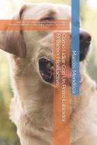 Como Lidiar Con Un Perro Labrador Retriever Hiperactivo