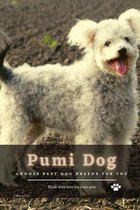 Pumi Dog