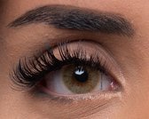 Diamond Lenses - Kleurlenzen - Brown Green Ocean - Jaarlenzen