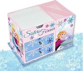 Disney Opbergdoos Frozen Ii Forever Sisters 14 Cm Karton Roze/blauw