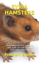 Syria Hamsters: Syria Hamsters