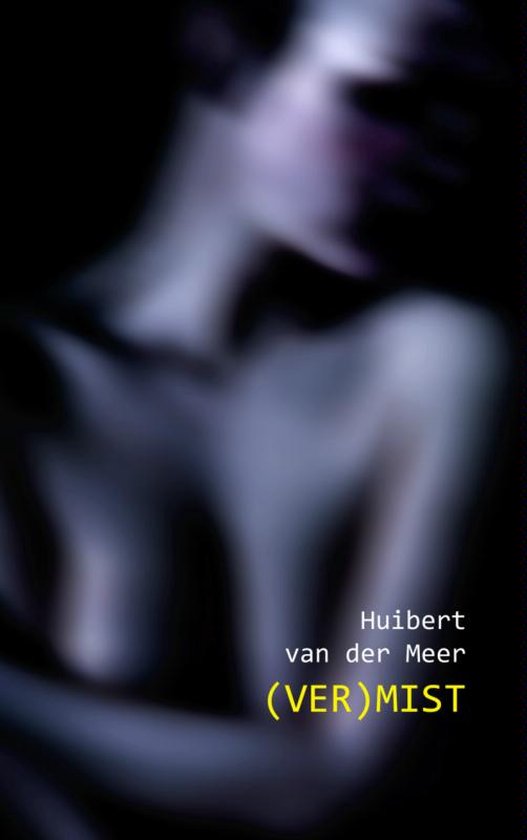 Cover van het boek '(ver)mist' van Huibert van der Meer