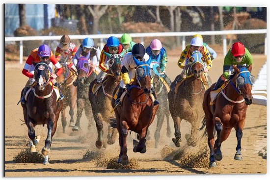 Dibond - Racewedstrijd Paarden - 60x40cm Foto op Aluminium (Met Ophangsysteem)