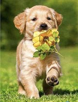 Diamond Painting - Labrador puppy met een bloem - Seos shop