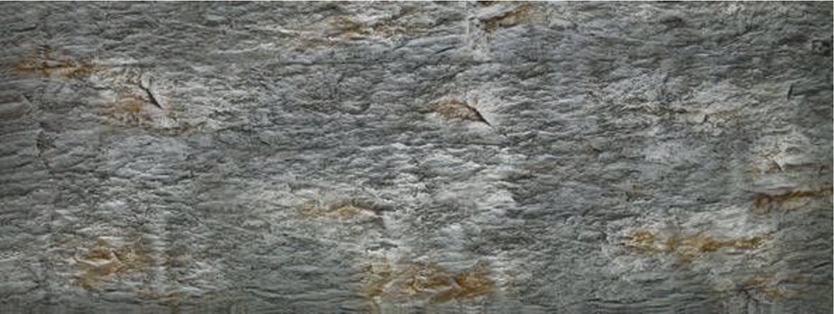 Oase Flex achterwand leisteen XL - Aquarium decoratie - Vissen - 1600x600x2